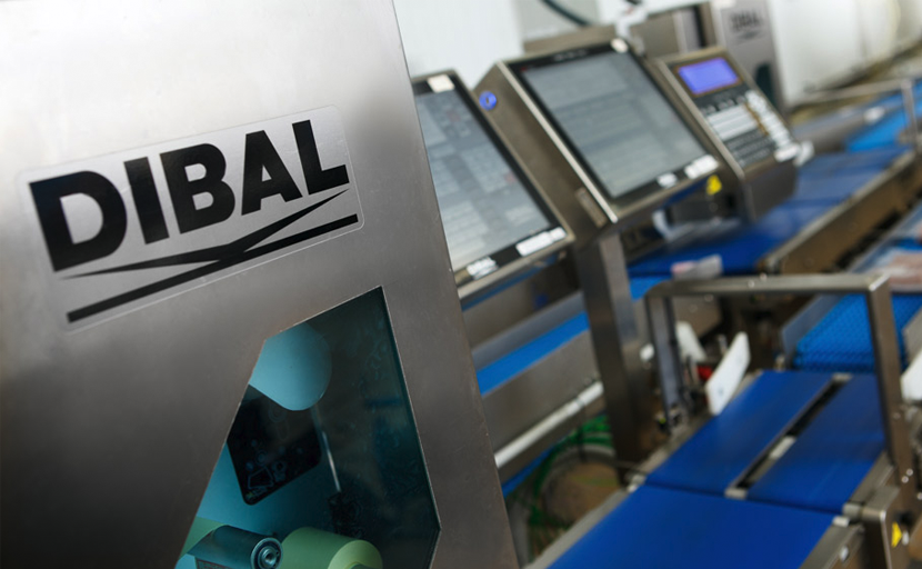 Revisión de una báscula de plataforma por el servicio técnico de Balanco